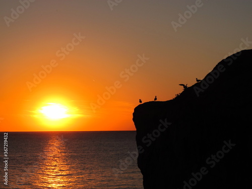 Sunset on the seashore, silhouettes of seagulls, rocks against the background of a bright orange sky and the sun on the horizon