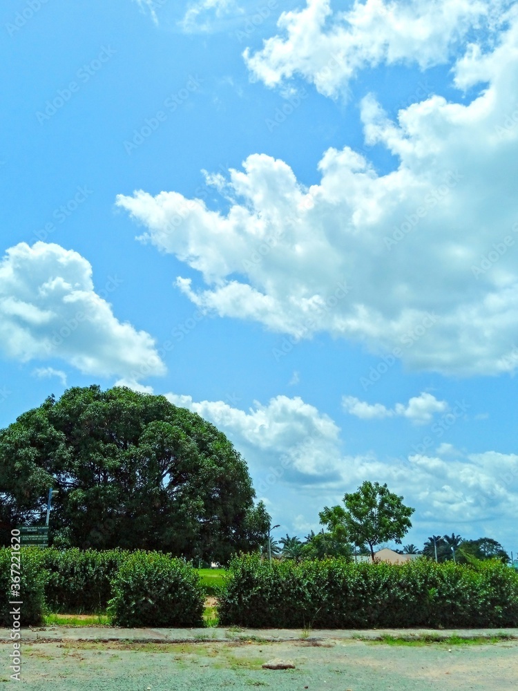 tropical landscape with blue sky tropical landscape with blue sky