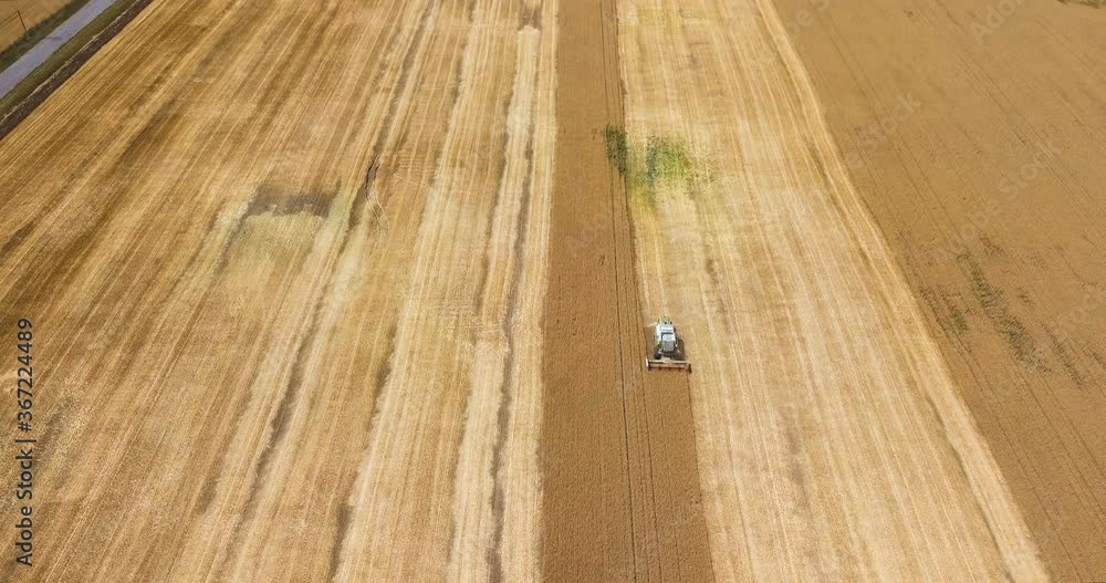 Aerial view: combine harvest a large wheat field. Front view, flying up. Aerial view: combine harvest a large wheat field. Front view, flying up.