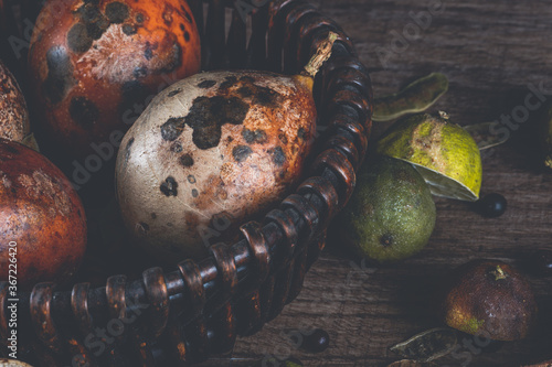 Canvas Print Still Life with Rotten Fruits, detail of wicker basket on wooden table