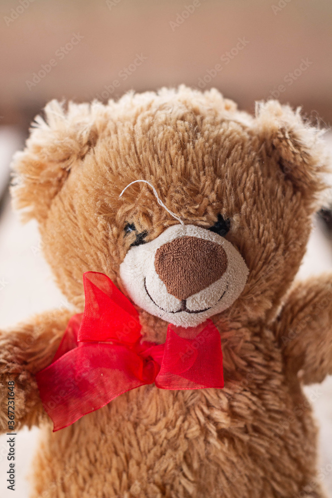 teddy bear in a red hat
