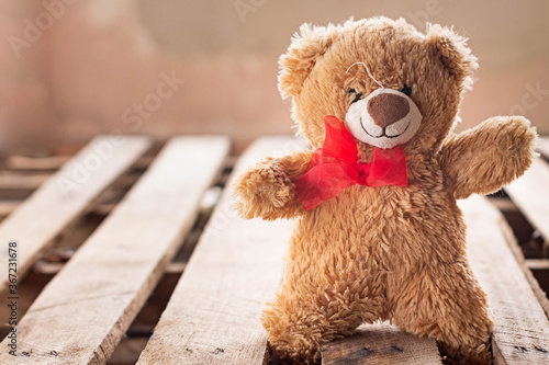teddy bear in a red hat