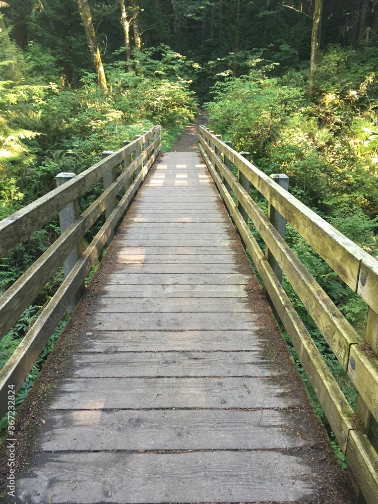 Mossing bridge on PooPoo trail Mossing bridge on PooPoo trail