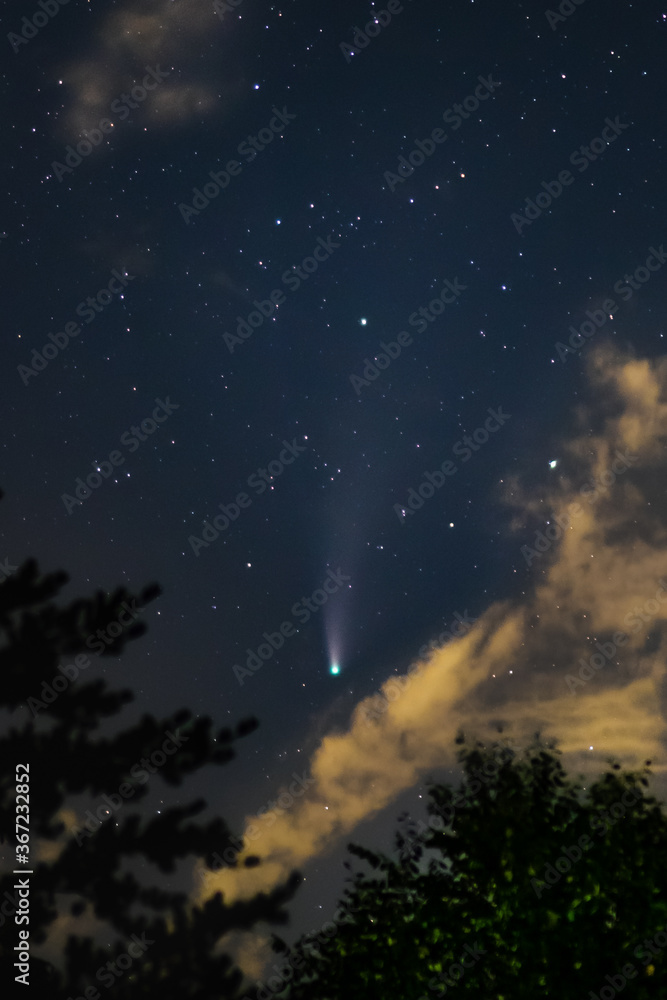 Celestial Comet Neowise with Trees and Clouds