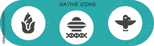 native icon set