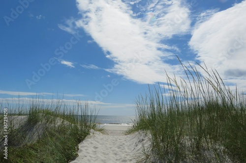 Fototapeta Naklejka Na Ścianę i Meble -  Beautiful view on sand dunes and sky in Atlantic coast of North Florida