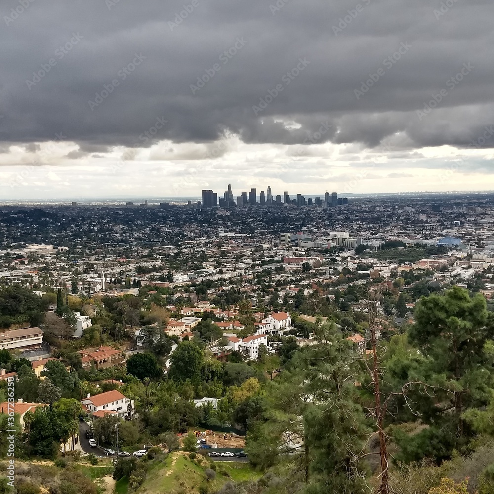 Naklejka premium LA view