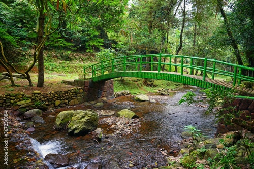 Beautiful bridge over the river in the middle of the forest