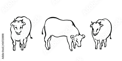 丑の手描き線画