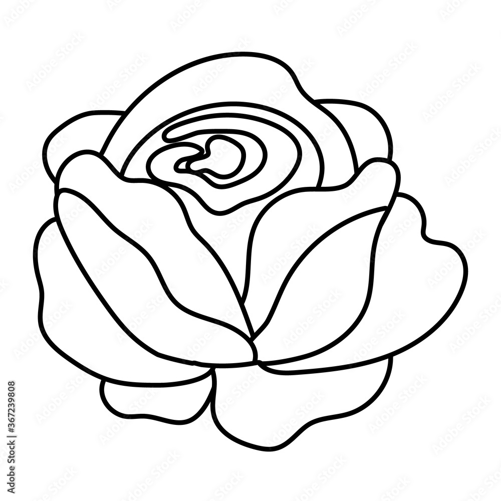 beautiful rose flower garden line style icon