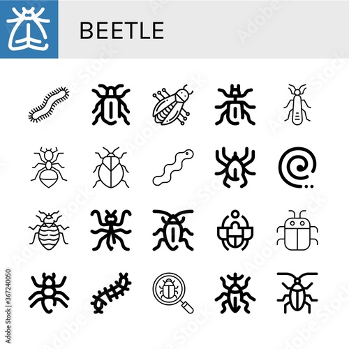 beetle simple icons set