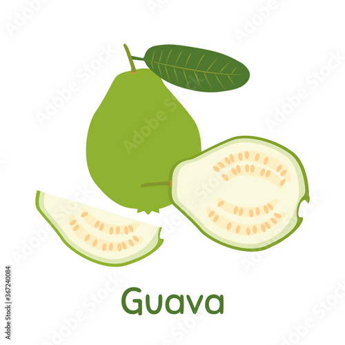 Guava Fruit. Vector Illustration EPS.