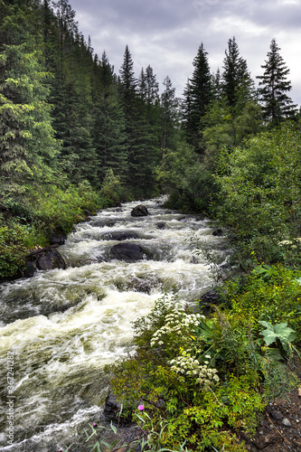 Landscape with the mountain river Chibitka. altai republi