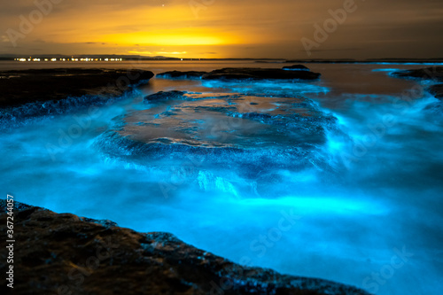 Bioluminescence, Jervis Bay, Australia