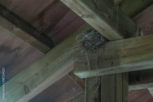 Bird nest in rafter of covered boardwalk