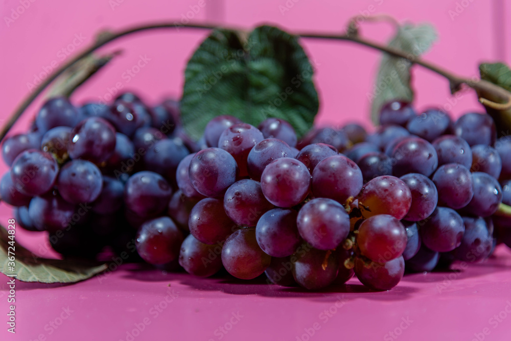 Fototapeta premium Bunch of table grape on pink background in selective focus