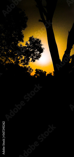 night photoshoot 