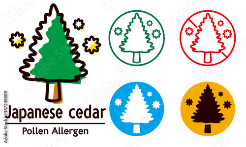 japanese cedar / pollen allergen,allergy