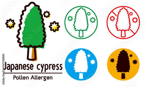 japanese cypress / pollen allergen,allergy