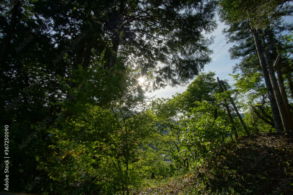 Fototapeta premium landscape of countryside in Japan