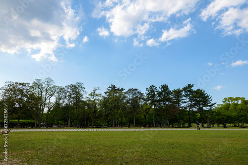 On May 13, 2020, at dusk, the number of tourists on the Nara Park Road was significantly reduced due to the declaration of a state of emergency by COVID-19.