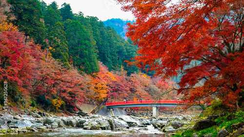 岩の間を流れる巴川の両岸に茂る紅葉