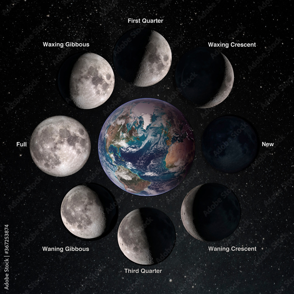 Relation movements of the moon 8 lunar phases revolution around Earth
