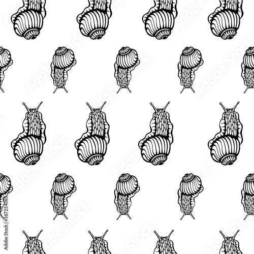 Summer black and white seamless pattern with hand drawn ink snails - fabric design or wrapping paper, simple, static