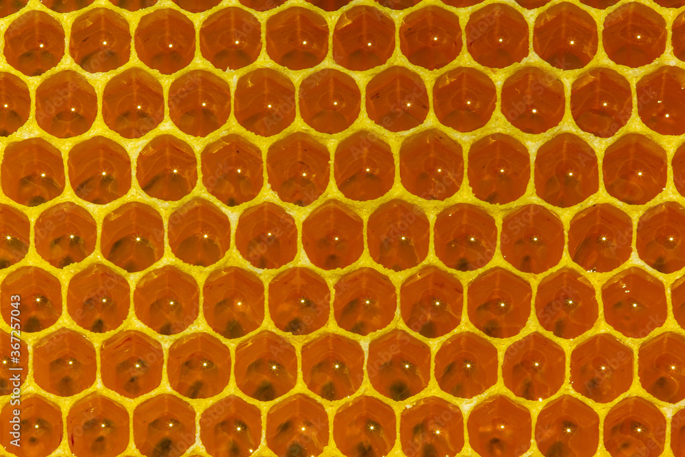 Nectar and honey in new comb Nectar and honey in new comb