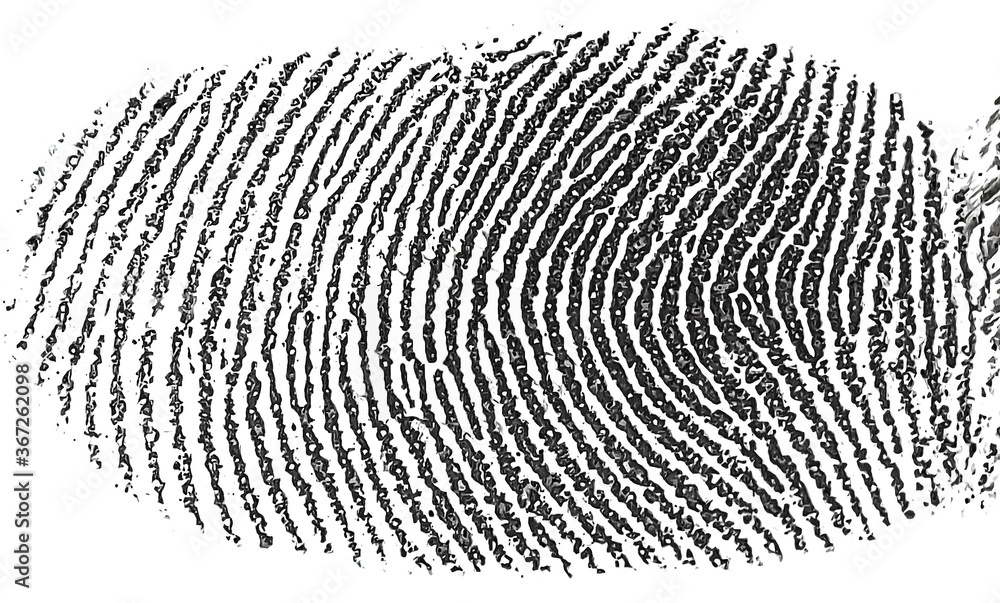 a fingerprint on a white background a fingerprint on a white background