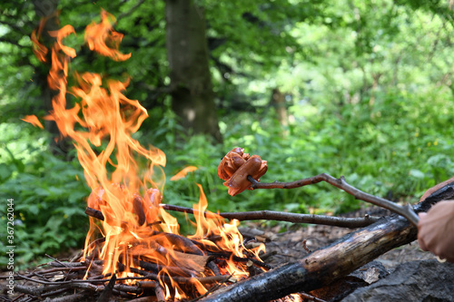 Toasting bacon in the forest on a hike on a natural fire