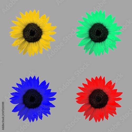 set of flowers