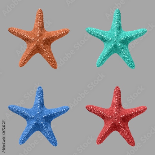 set of sea stars