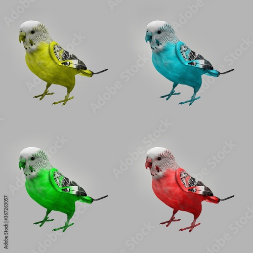 set of birds