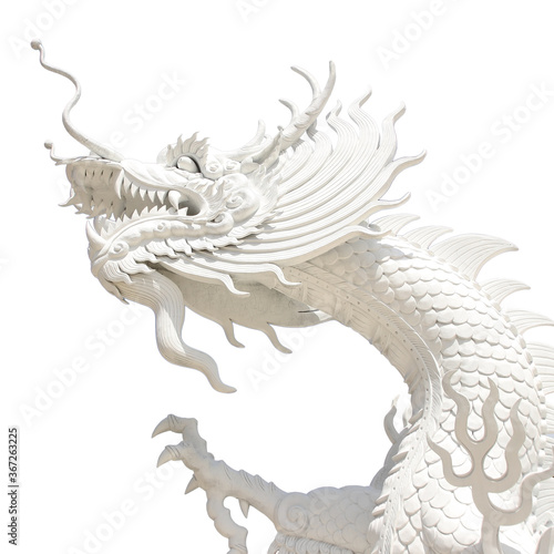 white dragon isolated on white background