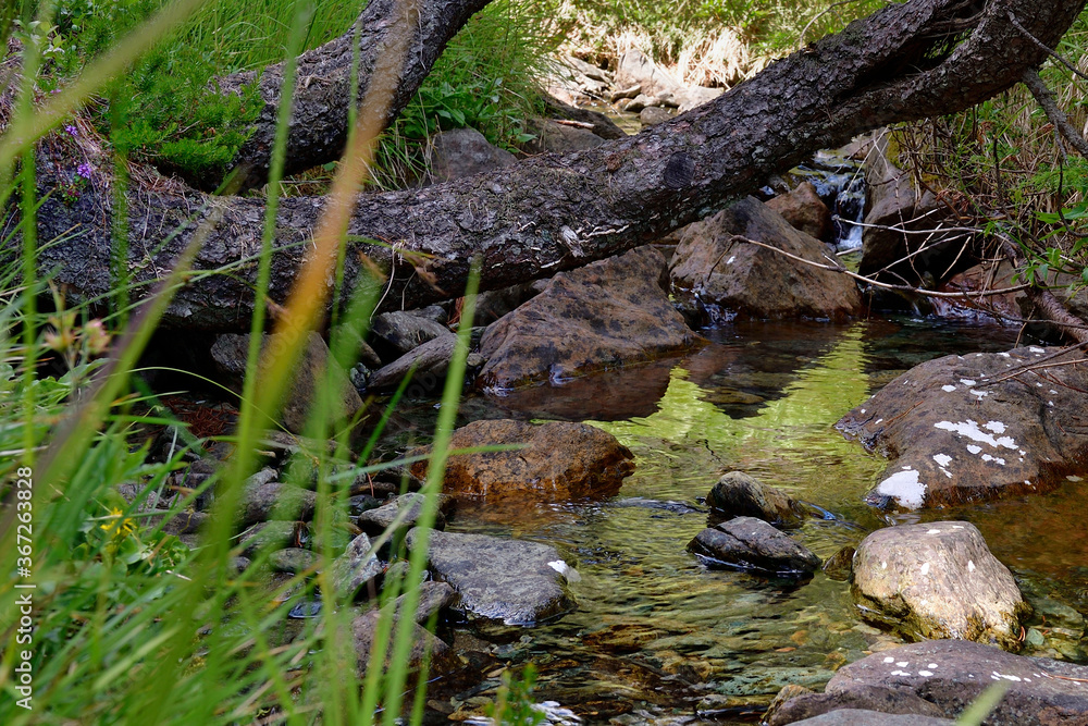 Picture of an Alp stream. Picture of an Alp stream.