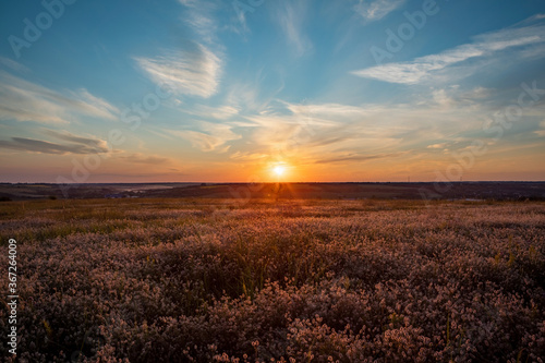 Fototapeta Naklejka Na Ścianę i Meble -  magnificent landscape of a field with a beautiful sky