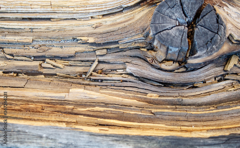 Fototapeta premium old cracked weathered board