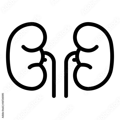 Renal kidney icon. Outline renal kidney vector icon for web design isolated on white background