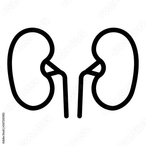 Anatomy kidney icon. Outline anatomy kidney vector icon for web design isolated on white background