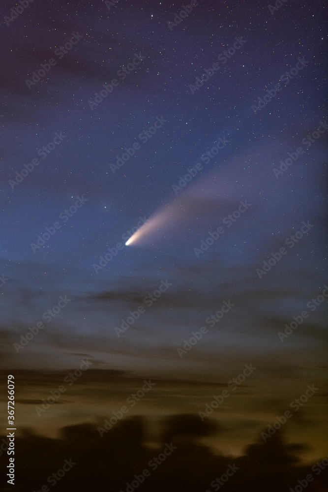 Comet Neowise in Golden Hour