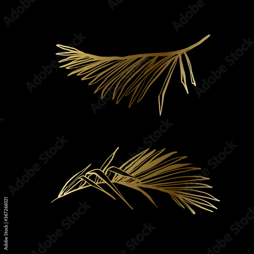 Golden beautiful palm leaf and palms leaves. Tropical jungle gold exotic botanical floral illustration. Vector line drawn tropical leaves. Hand drawn contour sketch on black background