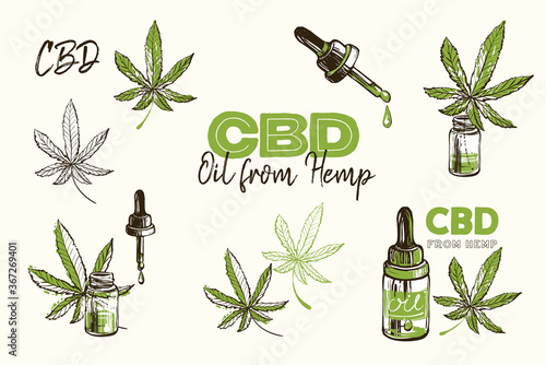 Cbd oil logo, green droplet, hemp oil drop, medical marijuana, outline black green cannabis leaves. Hand drawn natural vintage sketch for medical design. Vector illustration on white background