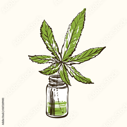 Medical marijuana. Hand drawn natural vintage sketch for medical design. CBD, cannabis, hemp oil. Vector illustration on white background in watercolor style