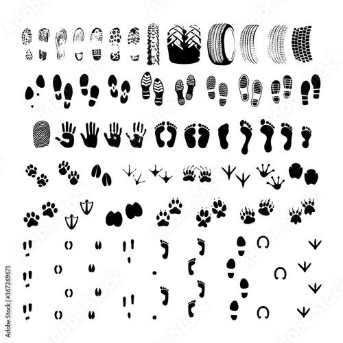 Big collection footprint of animals and people and transport trace silhouette. High quality pictograms for web design. Flat vector illustration