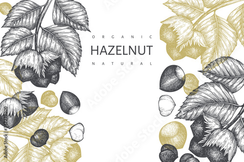 Hand drawn sketch hazelnut design template. Organic food vector illustration on white background. Vintage nut illustration. Engraved style botanical background.