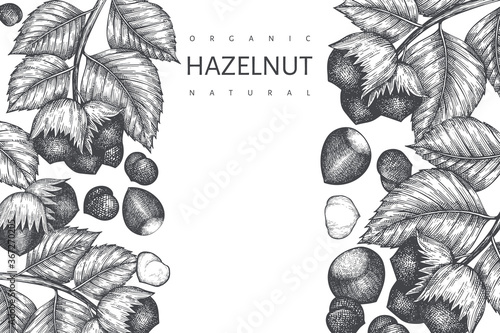 Hand drawn sketch hazelnut design template. Organic food vector illustration on white background. Vintage nut illustration. Engraved style botanical background.