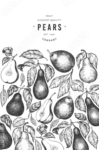Pear design template. Hand drawn vector garden fruit illustration. Engraved style garden fruit frame. Retro botanical banner.
