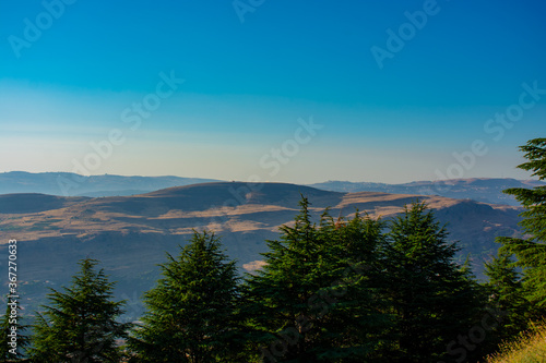 view from the Chouf cedar reserve onto the Lebanon mountains