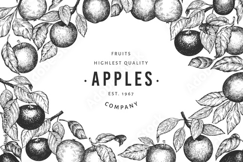 Apple branches design template. Hand drawn vector garden fruit illustration. Engraved style fruit frame. Vintage botanical banner.
